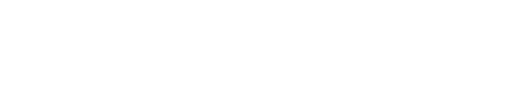 Logo devstudio WHITE2